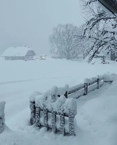 Casa vacanze Almhuette *