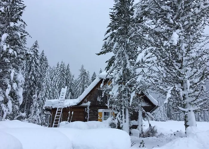 Almhuette Holiday home